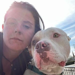 Meet your Posher, Jess